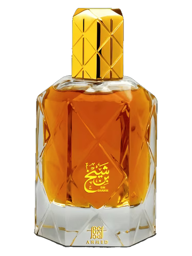 Ahmed Al Maghribi Bin Shaikh
